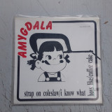 Amygdala - Strap On Coleslaw