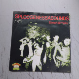 Splodenessabounds - Simon Templer