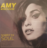 Amy Winehouse - Soaked in Soul Lp