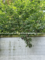 Neuheiten September
