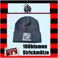 Doku Crowdfunding - 100blumen Strickmütze