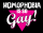 Homophobia is so gay - Aufnäher