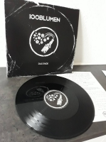 100blumen - Das Ende 12"