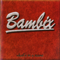 Bambix - Whats In A Name Lp