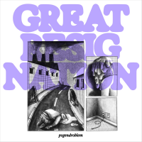 Pogendroblem - Great Resignation Lp