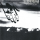 Subhumans - From the cradle to the grave col. Lp
