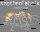 Knochenfabrik – Ameisenstaat T-Shirt, schwarz 2xl
