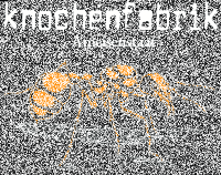 Knochenfabrik – Ameisenstaat Kapuzenpullover, schwarz m