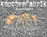 Knochenfabrik – Ameisenstaat Kapuzen-Zipper, schwarz s
