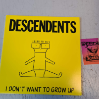 Descendents - I dont want to grow up