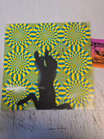 Samiam ‎– Whatever`s Got You Down