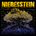 Nierenstein - Wohlstandzschatten Lp