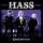 HASS - Endstation Lp